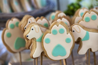 Shelter Puppy Cookies